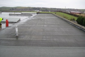 Flat Roof