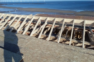 Flat Roof